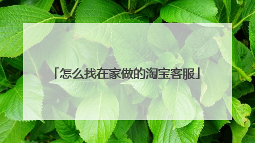 怎么找在家做的淘宝客服