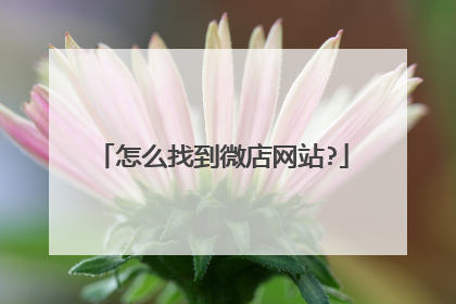 怎么找到微店网站?