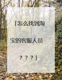 怎么找到淘宝的客服人员???