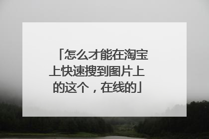 怎么才能在淘宝上快速搜到图片上的这个,在线的