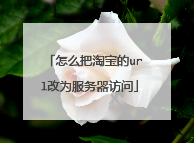 怎么把淘宝的url改为服务器访问