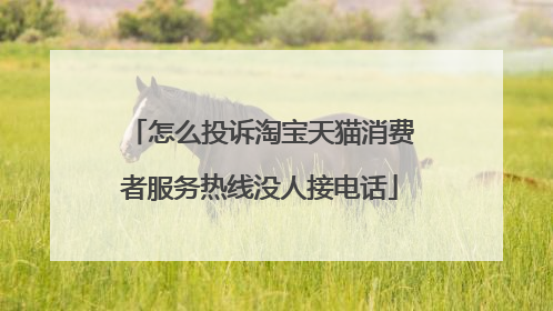 怎么投诉淘宝天猫消费者服务热线没人接电话