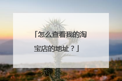 怎么查看我的淘宝店的地址?