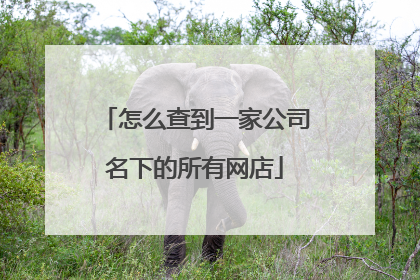 怎么查到一家公司名下的所有网店