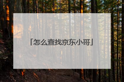 怎么查找京东小哥