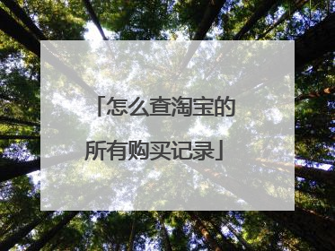 怎么查淘宝的所有购买记录