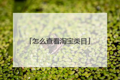怎么查看淘宝类目