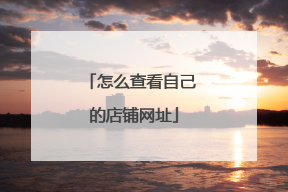 怎么查看自己的店铺网址