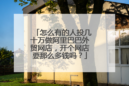 怎么有的人投几十万做阿里巴巴外贸网店,开个网店要那么多钱吗?