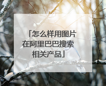 怎么样用图片在阿里巴巴搜索相关产品