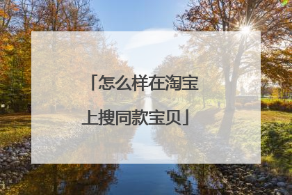 怎么样在淘宝上搜同款宝贝