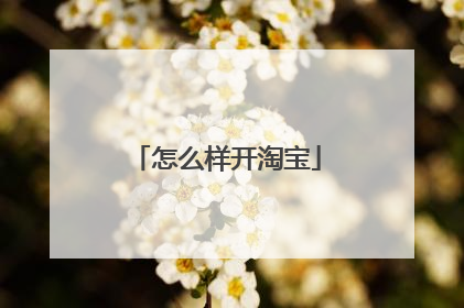 怎么样开淘宝