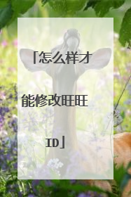 怎么样才能修改旺旺ID