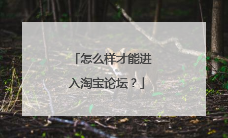 怎么样才能进入淘宝论坛?