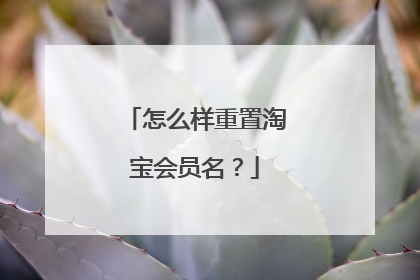 怎么样重置淘宝会员名?