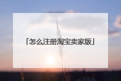 怎么注册淘宝卖家版