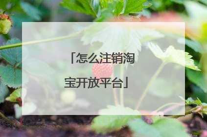 怎么注销淘宝开放平台