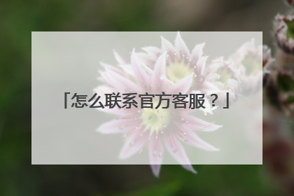 怎么联系官方客服？