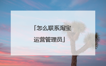 怎么联系淘宝运营管理员
