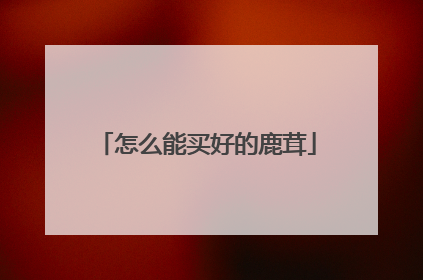 怎么能买好的鹿茸
