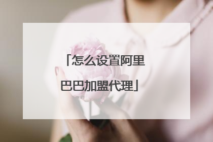 怎么设置阿里巴巴加盟代理
