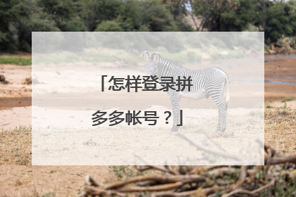 怎样登录拼多多帐号?