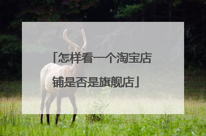 怎样看一个淘宝店铺是否是旗舰店