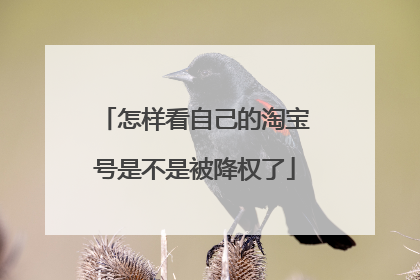 怎样看自己的淘宝号是不是被降权了