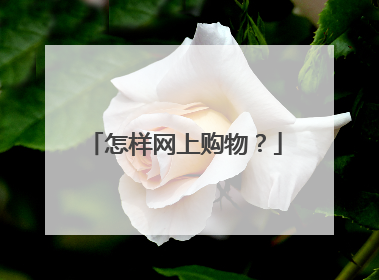 怎样网上购物?