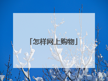 怎样网上购物