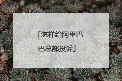 怎样给阿里巴巴总部投诉