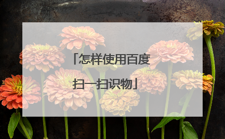 怎样使用百度扫一扫识物