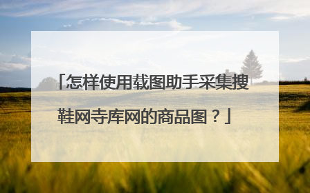怎样使用载图助手采集搜鞋网寺库网的商品图?