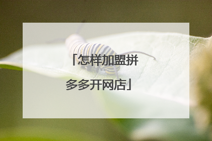 怎样加盟拼多多开网店