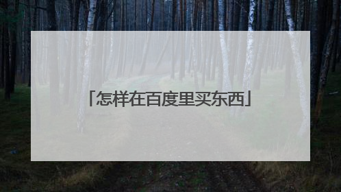 怎样在百度里买东西