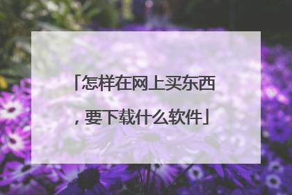 怎样在网上买东西,要下载什么软件