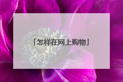 怎样在网上购物