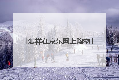 怎样在京东网上购物