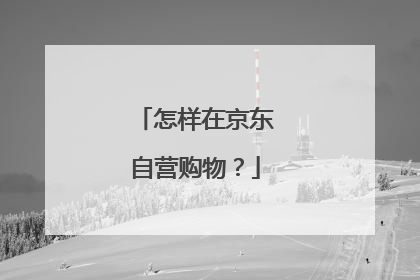 怎样在京东自营购物?