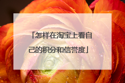怎样在淘宝上看自己的积分和信誉度