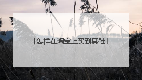怎样在淘宝上买到真鞋