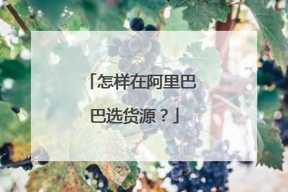 怎样在阿里巴巴选货源?