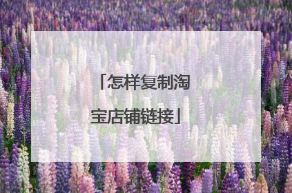 怎样复制淘宝店铺链接