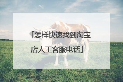 怎样快速找到淘宝店人工客服电话