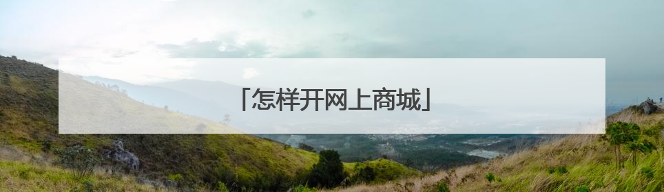 怎样开网上商城