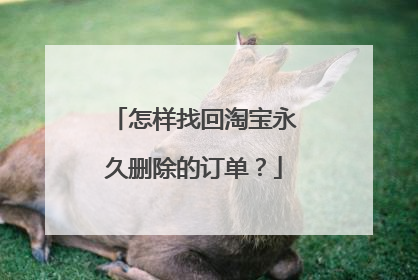 怎样找回淘宝永久删除的订单?