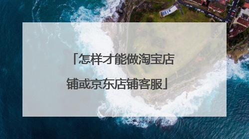怎样才能做淘宝店铺或京东店铺客服