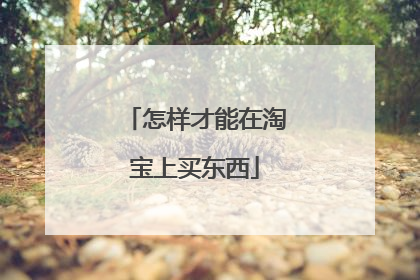 怎样才能在淘宝上买东西