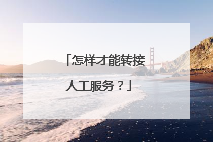 怎样才能转接人工服务?
