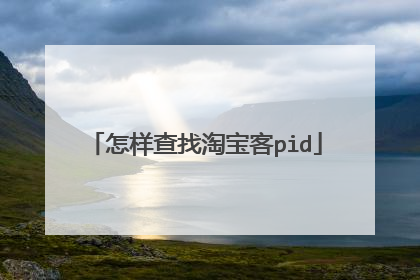 怎样查找淘宝客pid
